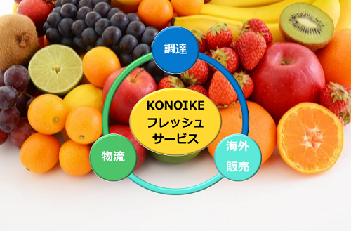 農産品の輸出・販売「konoikeフレッシュサービス」